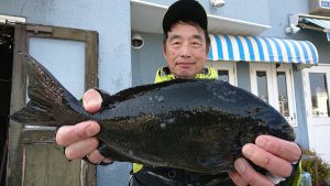 伊豆下田フィッシング 釣果