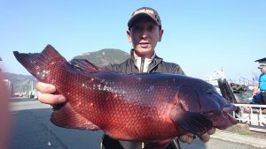 伊豆下田フィッシング 釣果