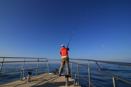 クルーズ 釣果