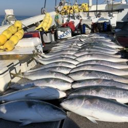 幸風（さちかぜ） 釣果