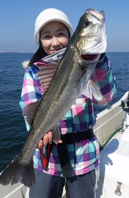 めだか屋 釣果