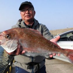 大進丸（新潟） 釣果