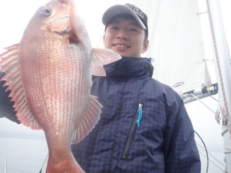 美里丸 釣果