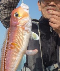 松福丸 釣果