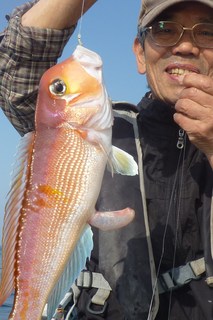 松福丸 釣果