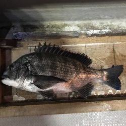 白墨丸 釣果