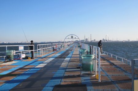 オリジナルメーカー海づり公園(市原市海づり施設) 釣果