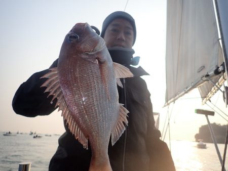 美里丸 釣果