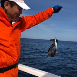 山正丸 釣果