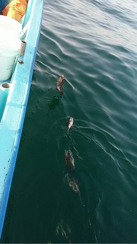 宝昌丸 釣果