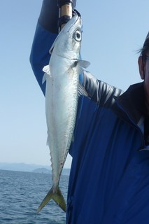 松福丸 釣果