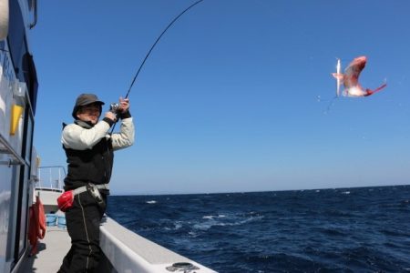 へいみつ丸 釣果