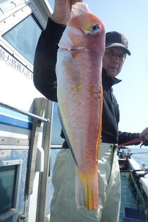 松福丸 釣果