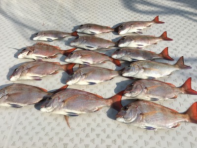 ミタチ丸 釣果