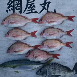 網屋丸 釣果