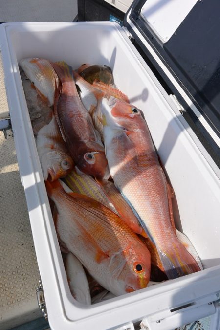 宝生丸 釣果