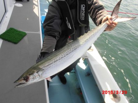 まとばや 釣果