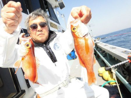 大進丸（愛知） 釣果