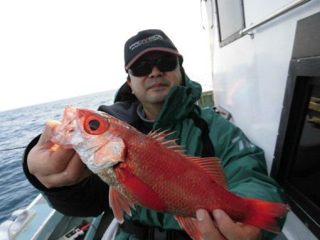 大進丸（愛知） 釣果