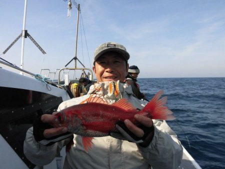 大進丸（愛知） 釣果