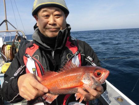 大進丸（愛知） 釣果