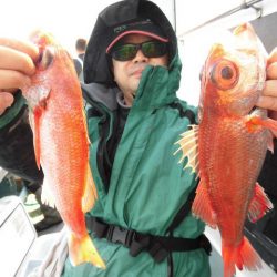 大進丸（愛知） 釣果