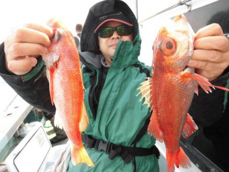 大進丸（愛知） 釣果