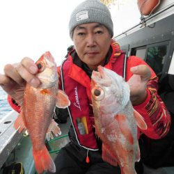 大進丸（愛知） 釣果