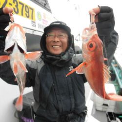 大進丸（愛知） 釣果