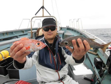 大進丸（愛知） 釣果