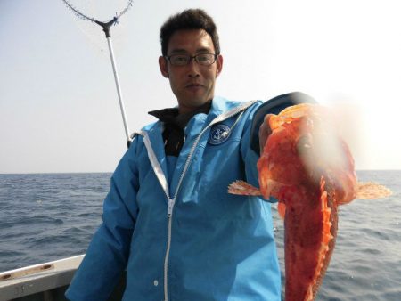 大進丸（愛知） 釣果