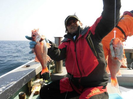 大進丸（愛知） 釣果