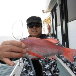 大進丸（愛知） 釣果