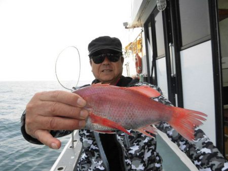 大進丸（愛知） 釣果