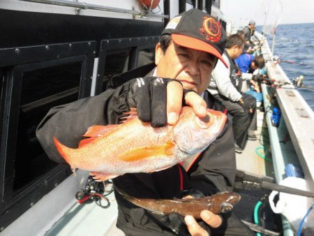 大進丸（愛知） 釣果