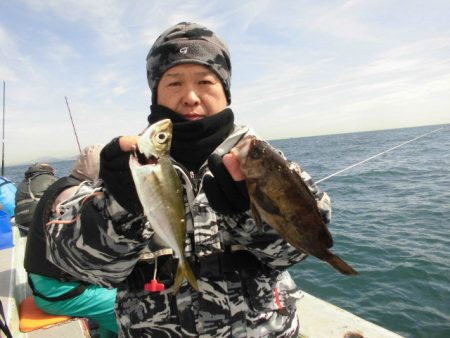 大進丸（愛知） 釣果