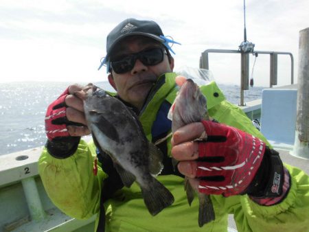 大進丸（愛知） 釣果