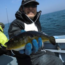 大進丸（愛知） 釣果