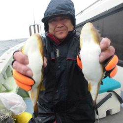 大進丸（愛知） 釣果