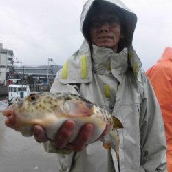 大進丸（愛知） 釣果