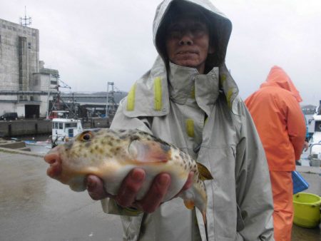 大進丸（愛知） 釣果