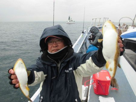 大進丸（愛知） 釣果