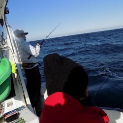 フィッシングボート空風（そらかぜ） 釣果