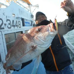 大進丸（愛知） 釣果