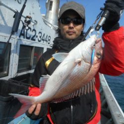 大進丸（愛知） 釣果