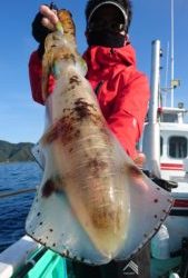 愛海丸 釣果