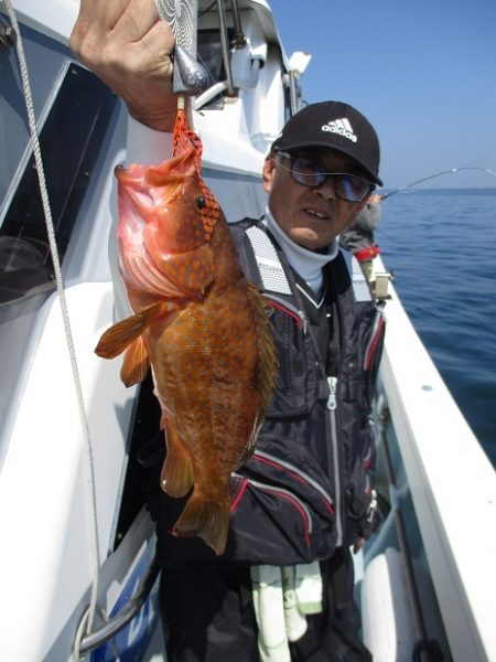 海人丸（うみんちゅまる） 釣果