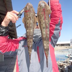 久六釣船 釣果