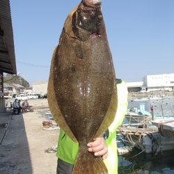 久六釣船 釣果