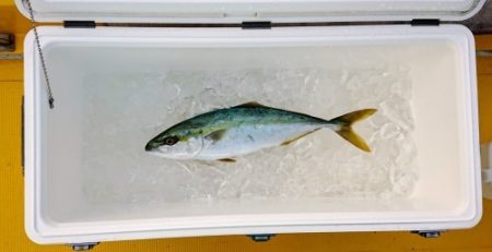 火遠理丸（ほおりまる） 釣果